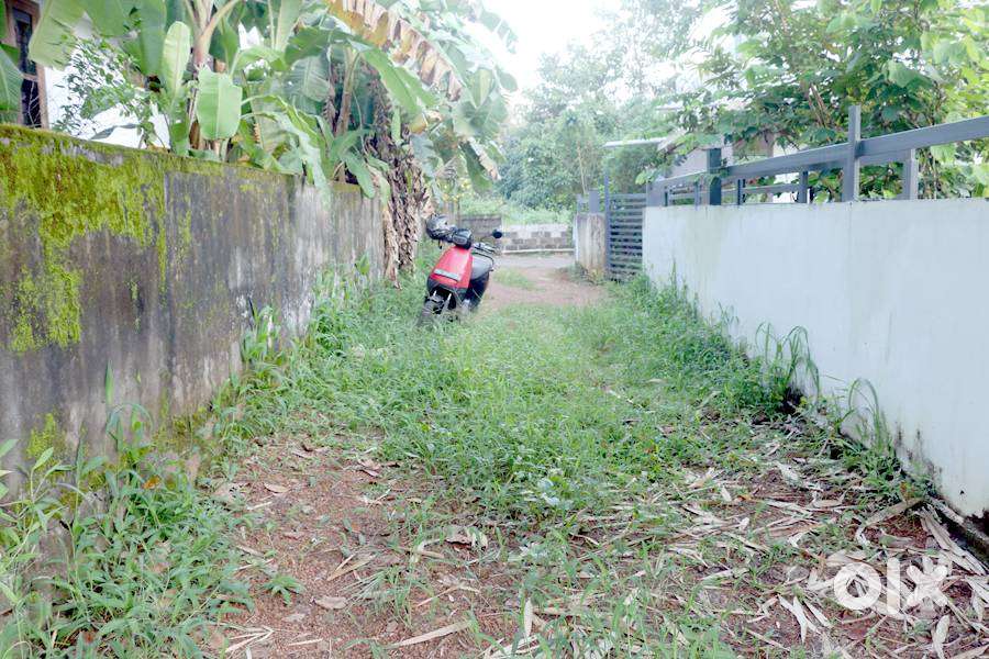 House plot 10 cent near Pattithanam -Kanakkarry 3 lakh/cent