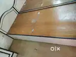 Wooden plywood single bed