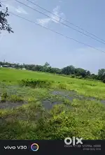 3 Bigha Miyadi  land for sale in Ghoramari