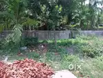 850000 বাস্তু জমি বিক্রি