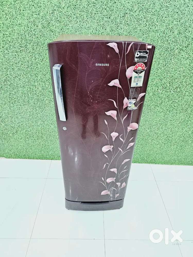 Single door refrigerator