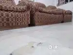 Sofa set for sale in very good condition