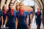 Indigo Airlines 2025 Freshers Female Candidates Apply Fast And Join Us