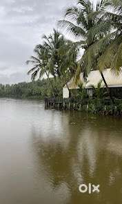 ️ 36 Cent Plot for Sale near Akalapuzha Tourist Point, Koyilandy