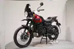HIMALAYAN-0831
