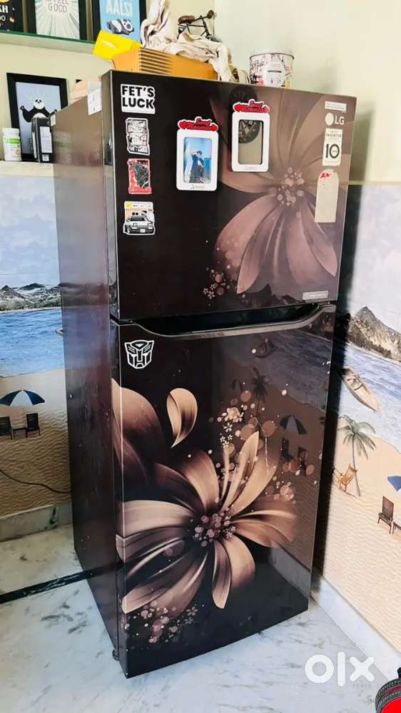 Double door LG fridge