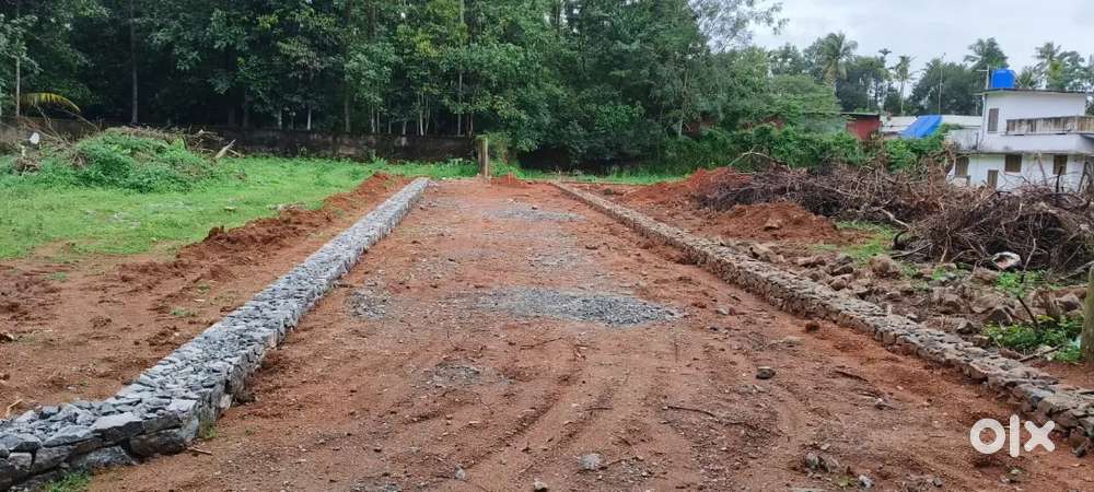 അങ്കമാലി ചിറങ്ങര NH ൽ നിന്നും 2 km മാറി 4 cent മുതൽ ഹൗസ് പ്ലോട്ടുകൾ