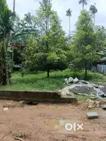 7.5 CENT RESIDENTIAL LAND AT KORATTY