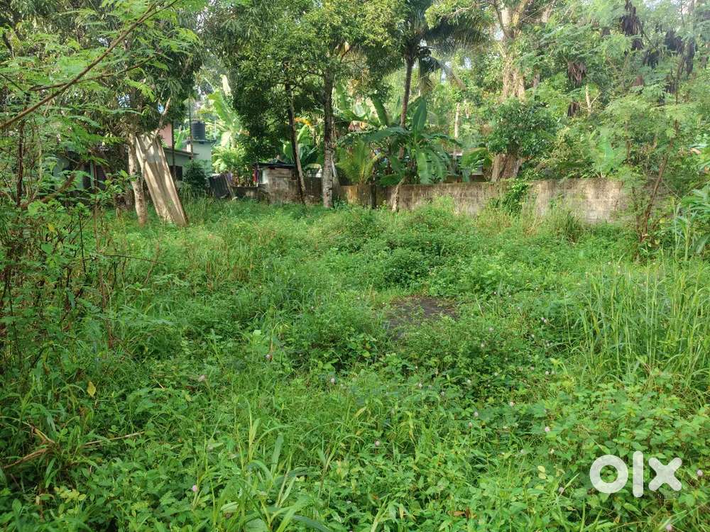 Kollam Anchanlumood Junction10 Cent 4 side wall  per cent 5 Lakh'