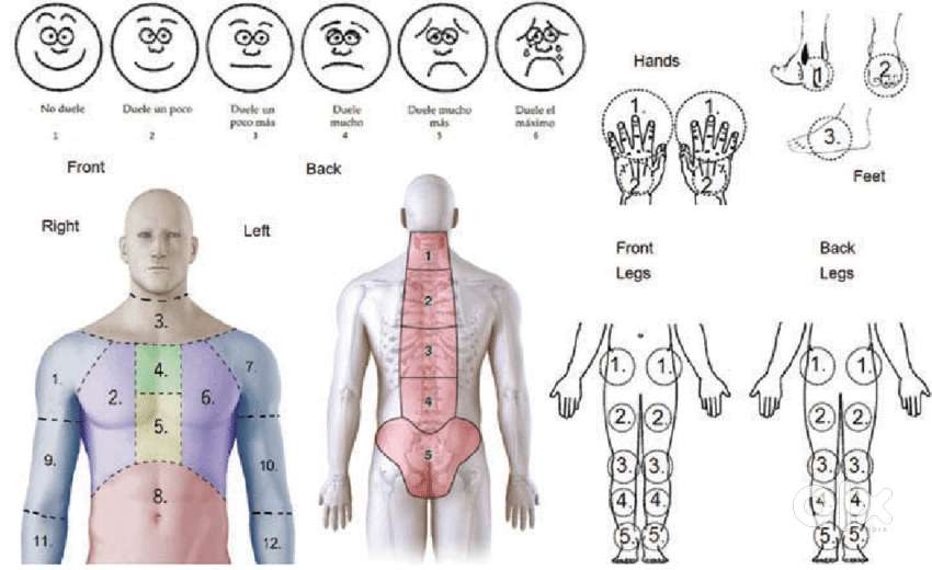 Your Fitness Journey Starts Today - No Excuses