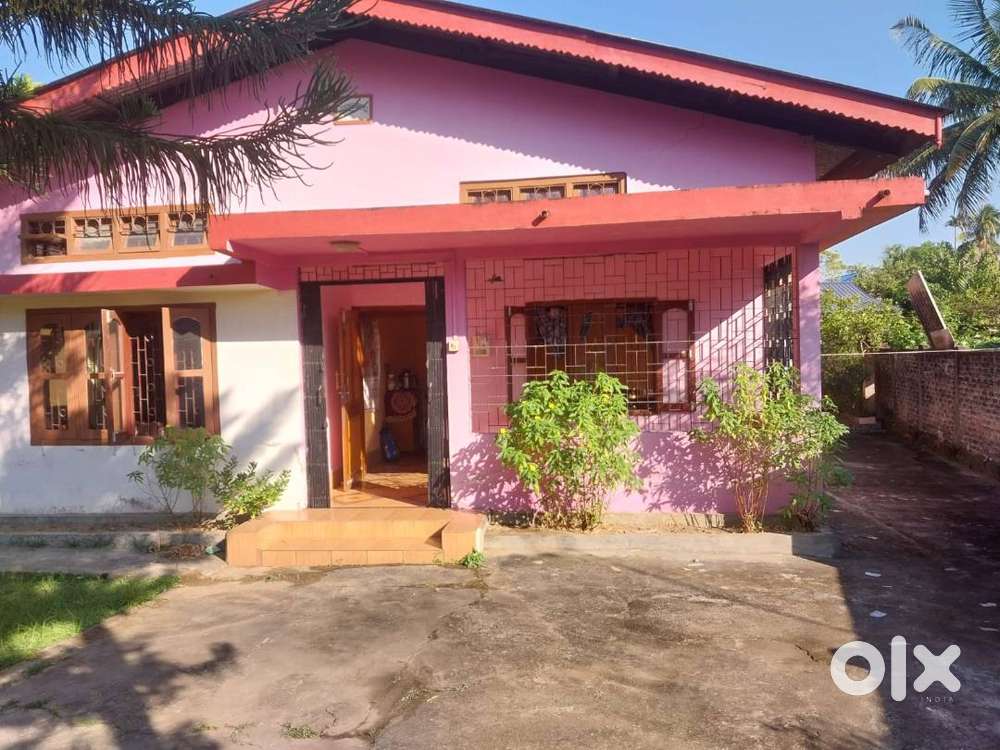 Individual House with Adequate space fr parking Gardening  vegetation