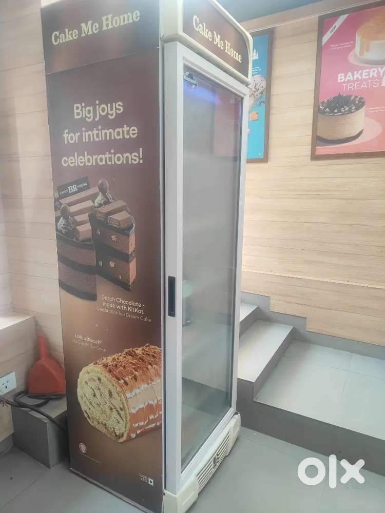 Rockwell vertical freezer