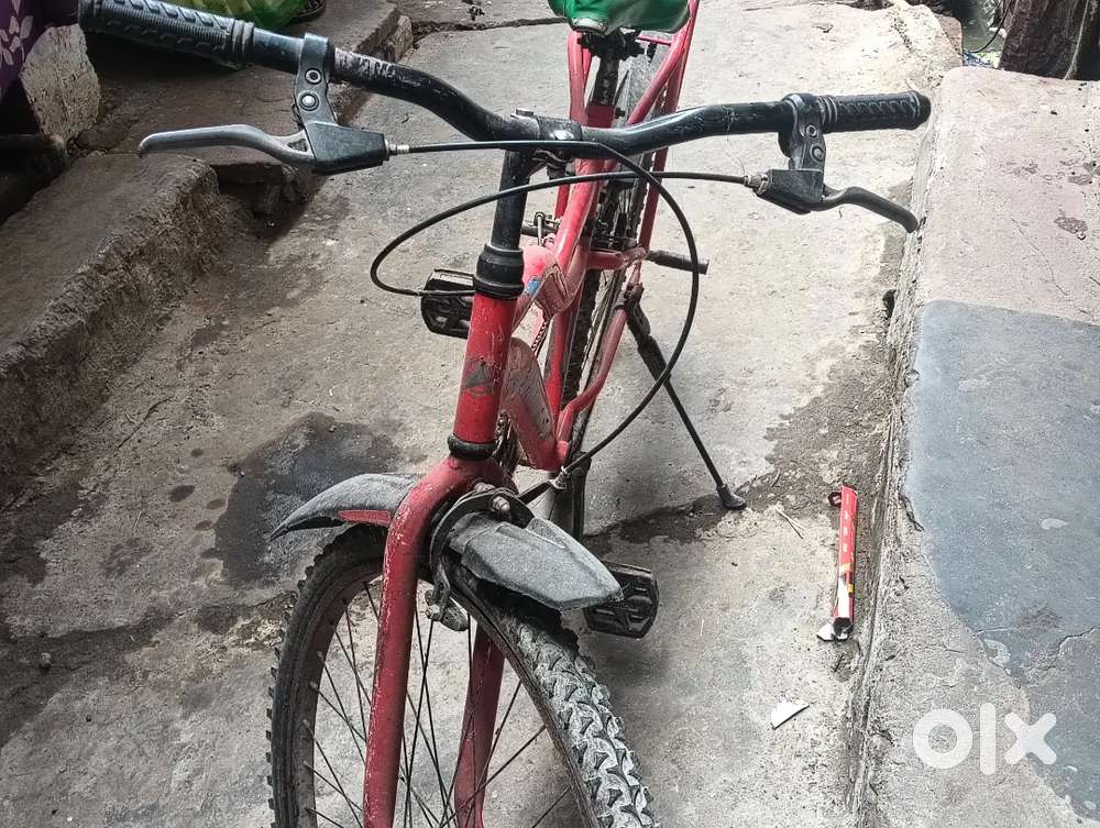 Avon rapido cycle