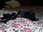 Canon  camera