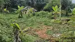 25 Cent square plot for sale near MUNDAKAYAM