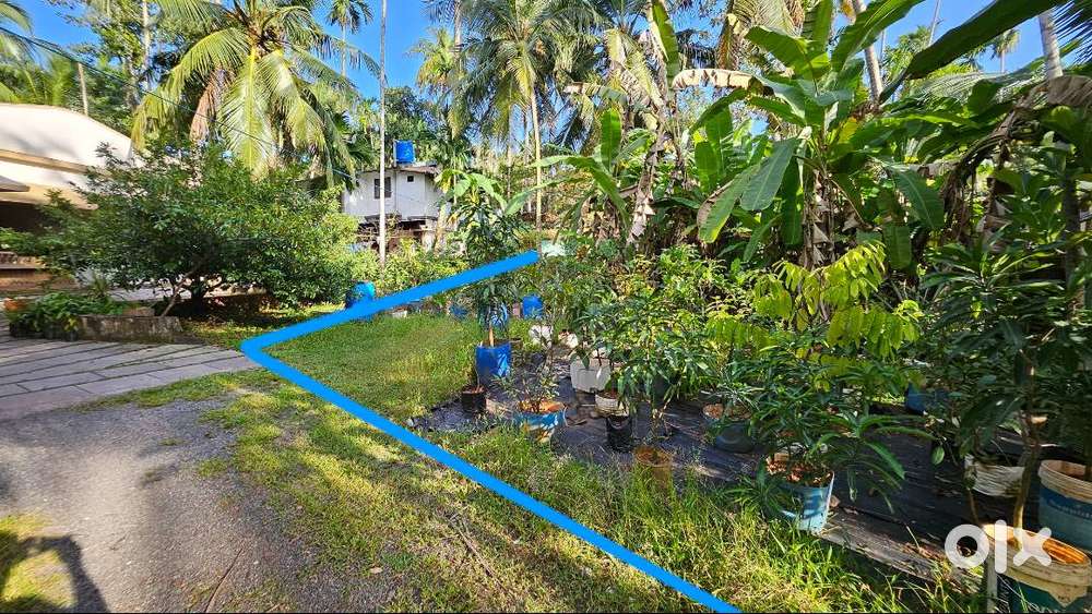 8 Cents of Prime Land for Sale in Calicut Corporation Area(Mailambadi)