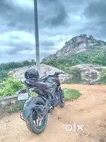 N160 9500 km, 9 months old