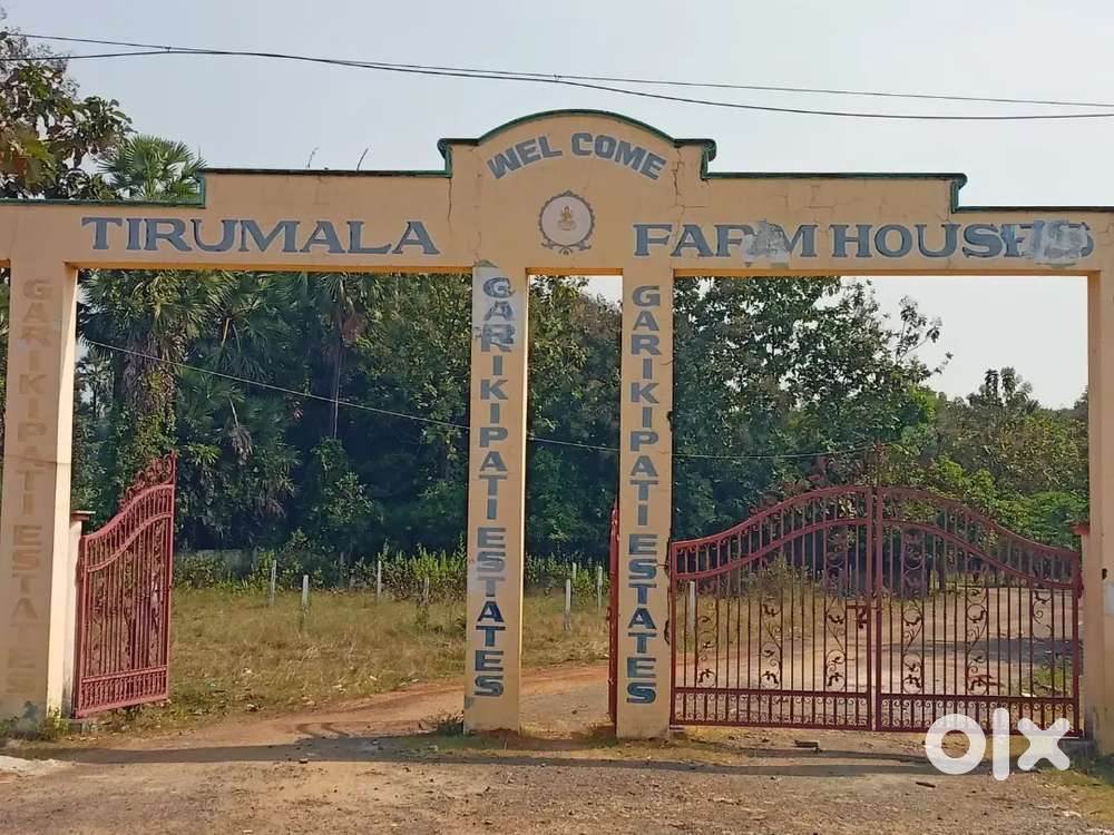 Kothavalasa plot for sale