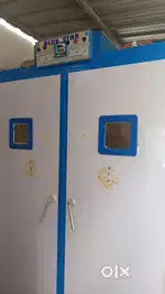 Egg Incublater