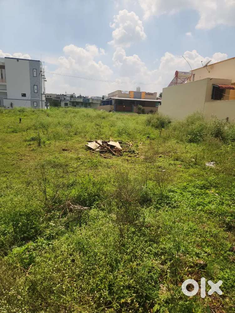 Nearby vidyo daya school nearby bus stand and PAcollege