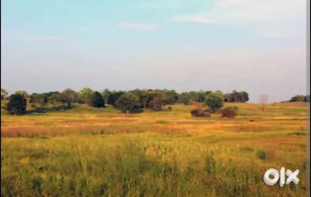 Land for Rent near Jk car race