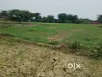 7 biswa plot for home