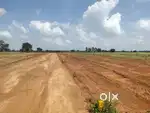 Next Generation Open Plots
