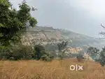 Plot for sale