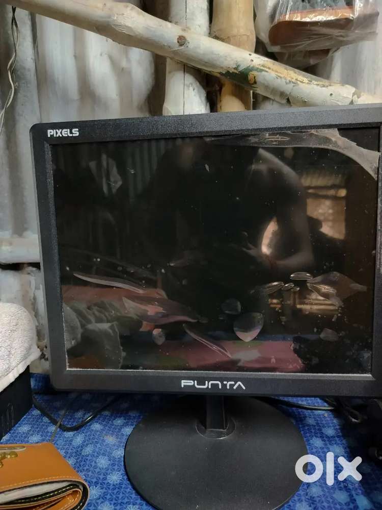 Punta monitor