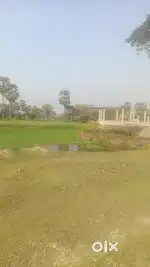 1Bigha to 2Bigha Farmland/ Agriculture Land available for sale