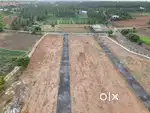 Registration free for Land purchase
