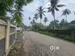 55 Cent Residential Land for Sale – Olanadu Kongorpilly Road Frontage