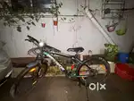 Steerthawk kids bicycle in green colour