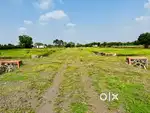 NA Plots Opposite Nashik Airport
