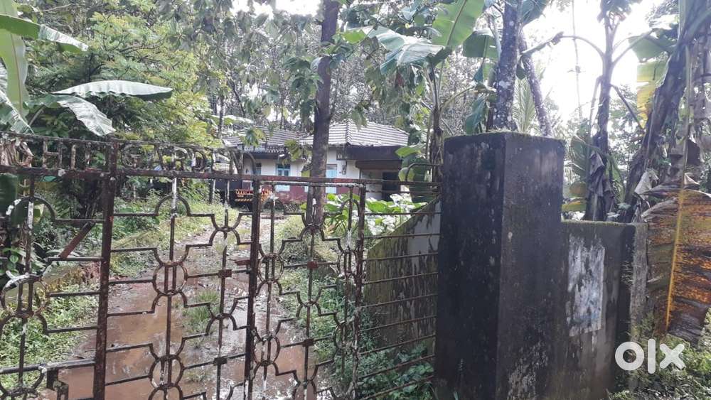 55Cent land on Panthalam-Aranmula road
