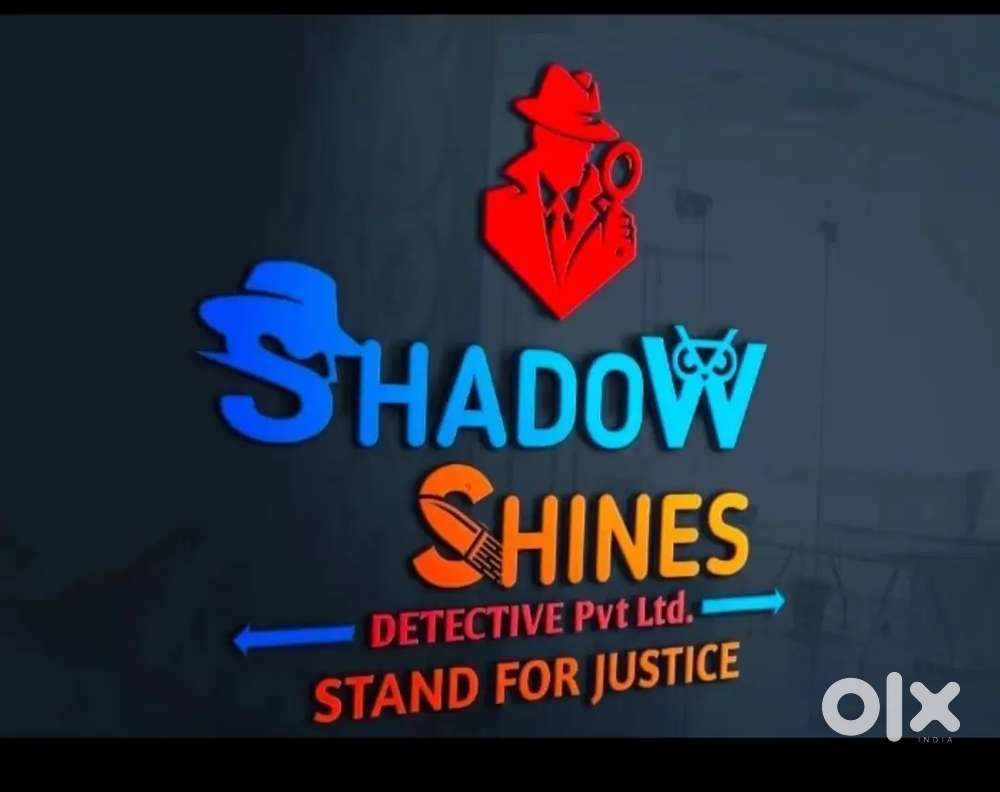 Private investigator