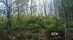 6 acres of agricultural land with house for sale