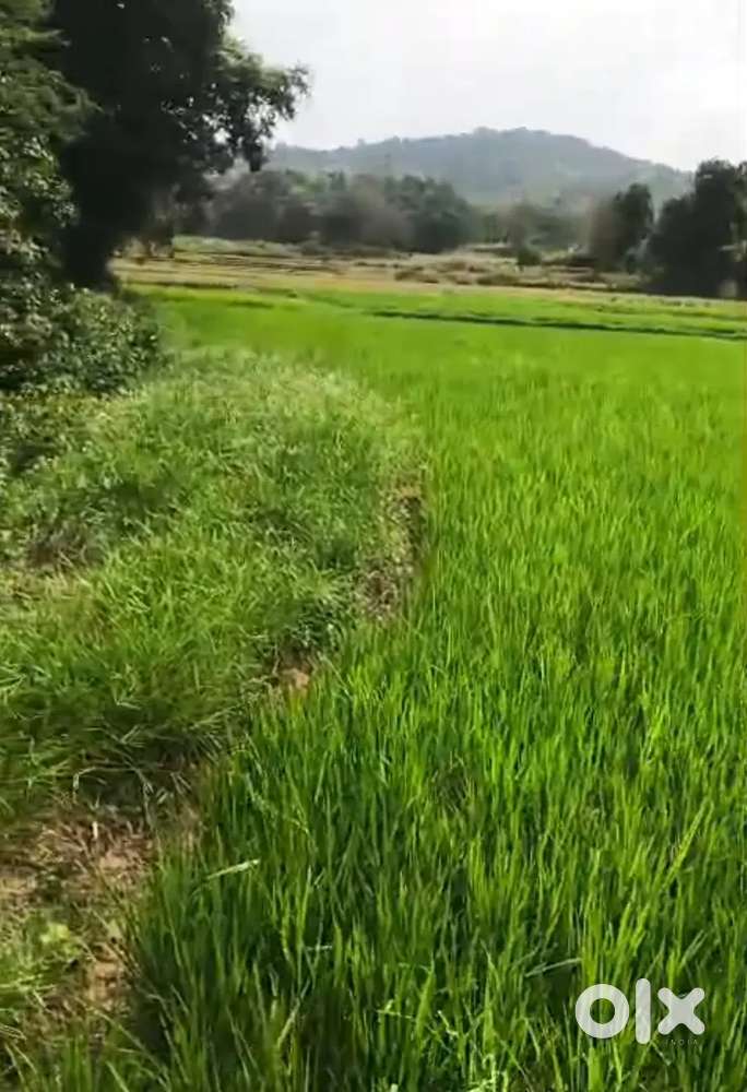 2 ACKRS AGRICULTURE LAND FOR SALE