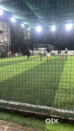 Turf for sale