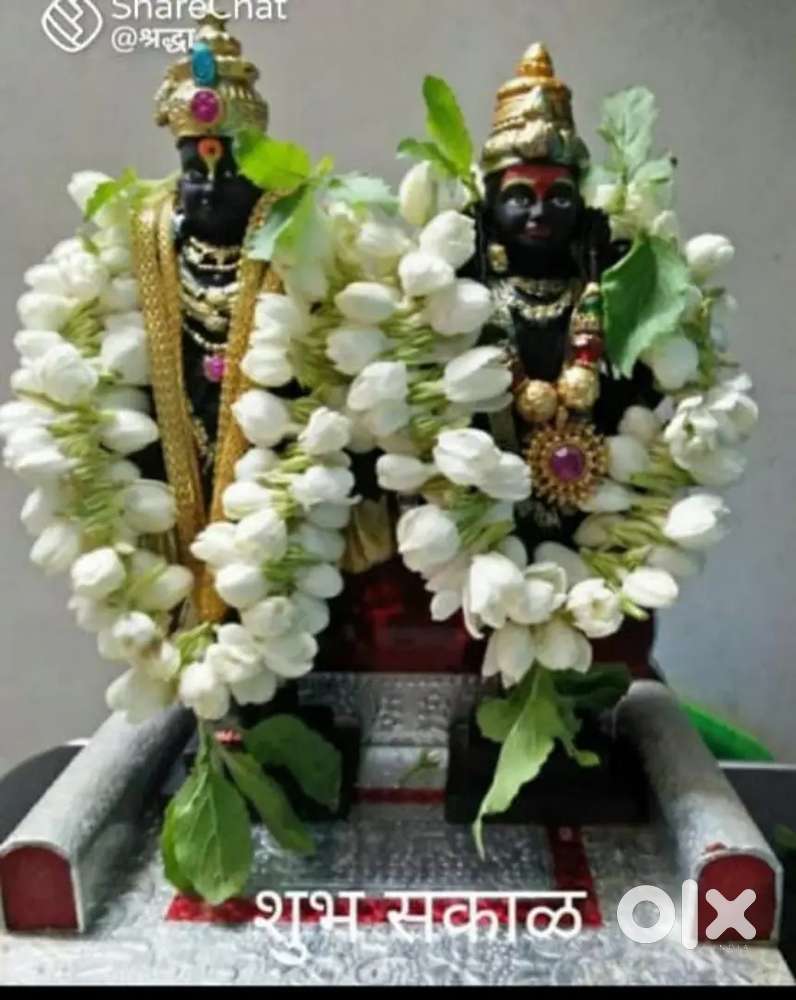 Female roommate, vegetarian