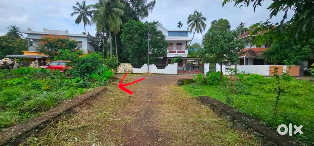 Prime Housing Plot for Sale in Thirur, Thrissur! 6 cent
