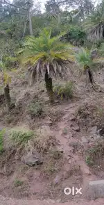 Land for sale in Dagerha