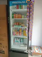Commercial 369 Litres Frigoglass Single Door Fridge