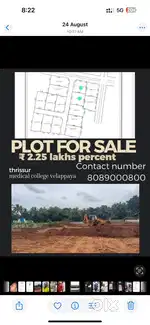 Vellapaya plot