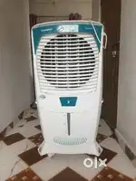 Crompton Ozone 55