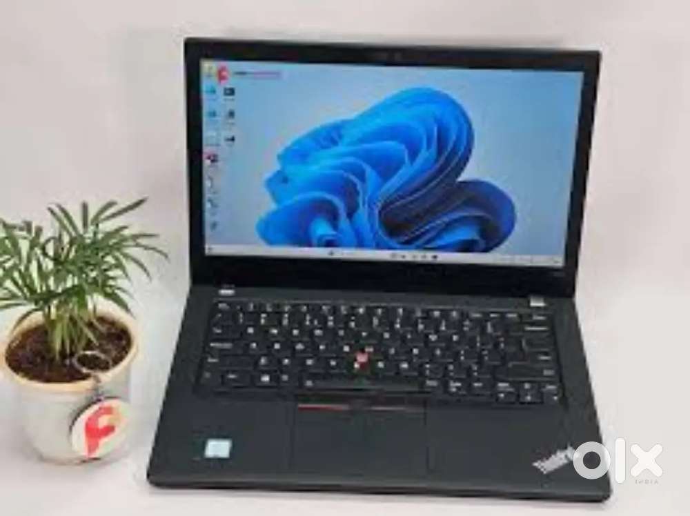 i3/8gbram/256gb storage Laptops