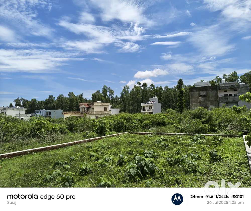 280गज प्लॉट घर बनाने हेतु रायपुर औली देहरादून में