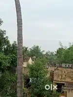 Property land Thanjavur 15000 sq ft.