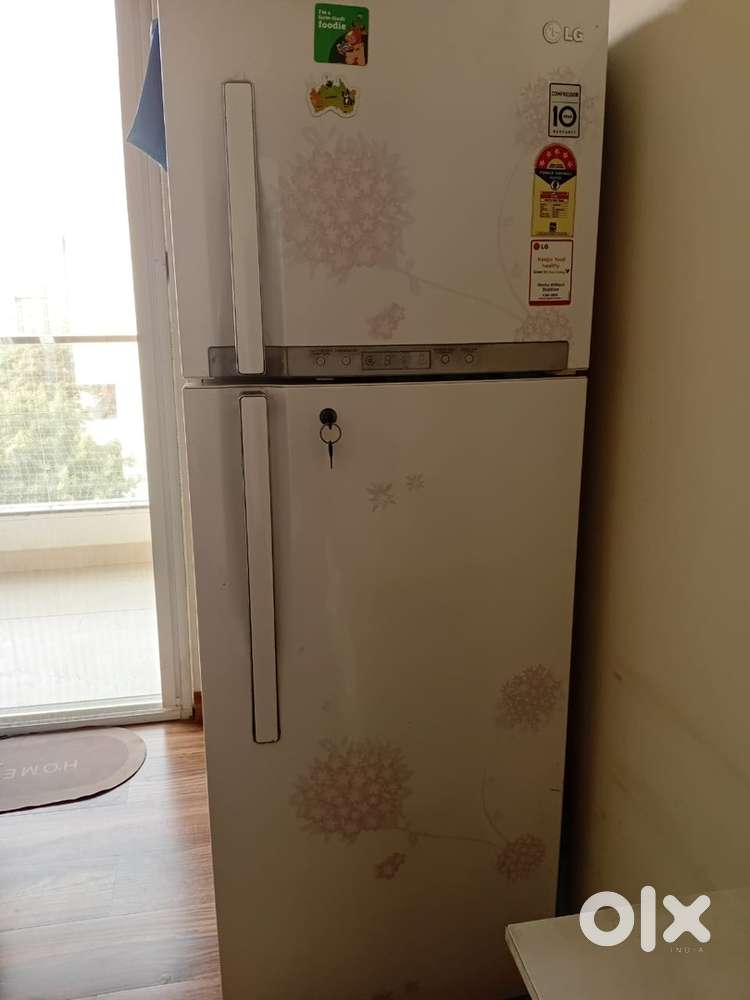 Lg double door