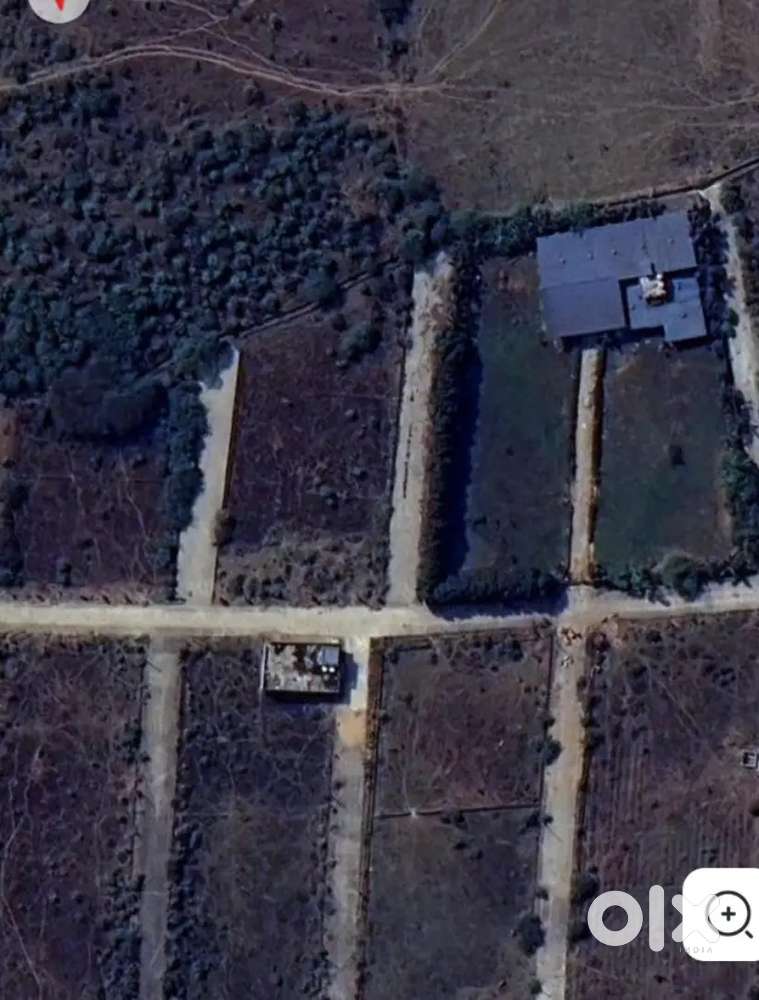 Urgent sell plotin colony